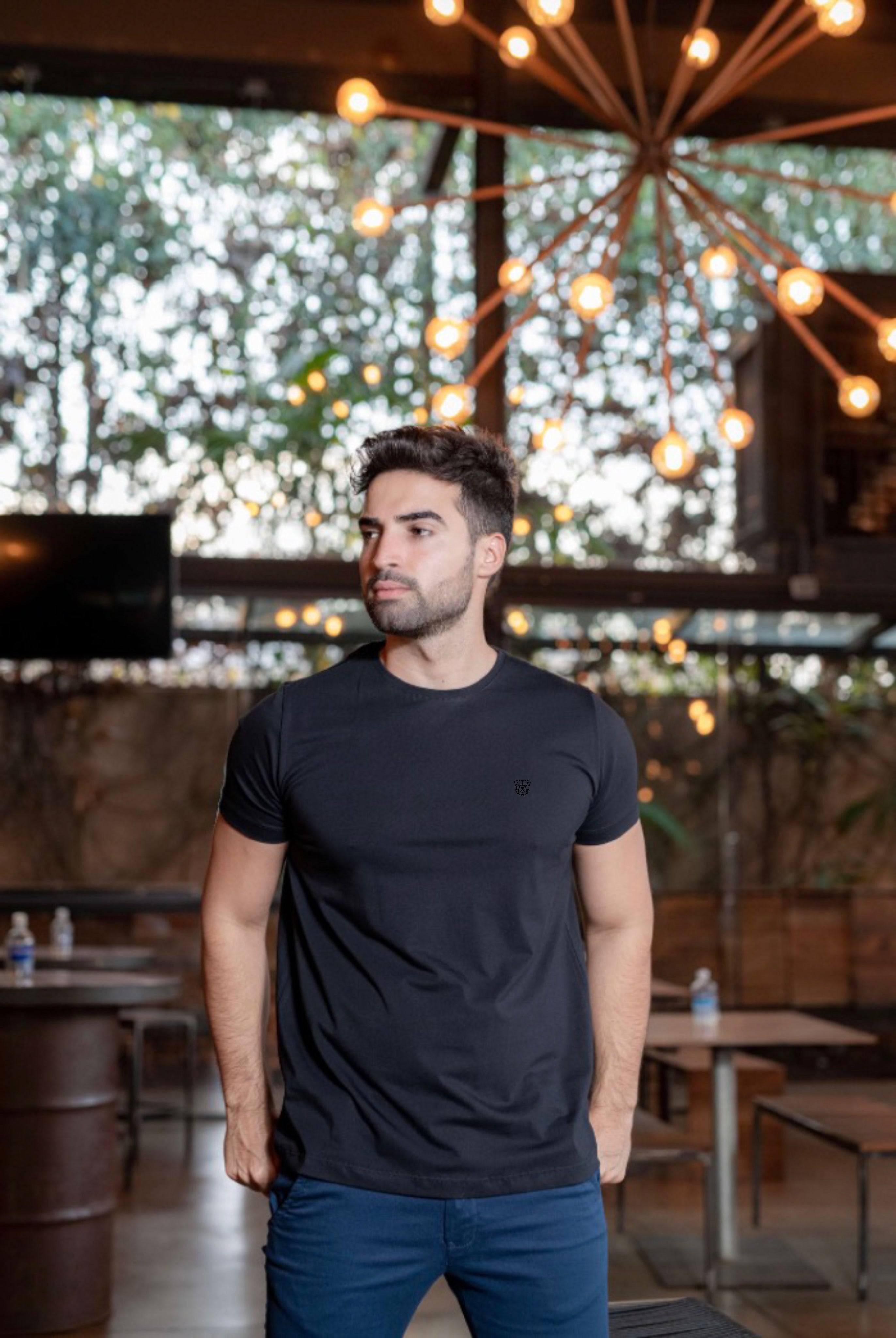 Camiseta Básica Stark